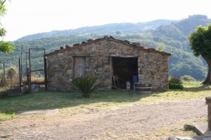 Rural home